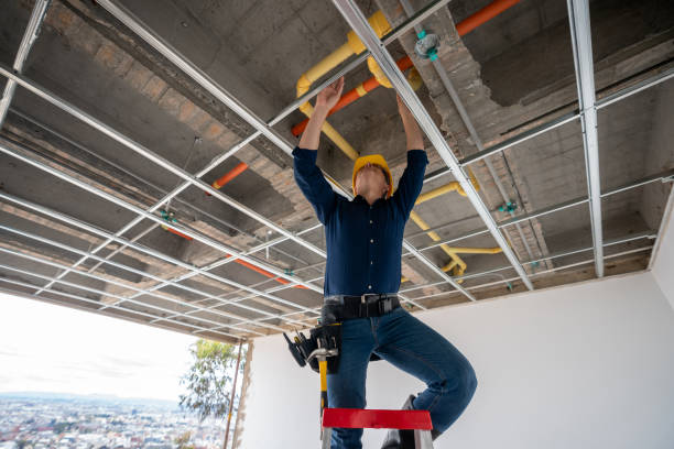 Best Emergency Plumbing Repair  in Cohoe, AK